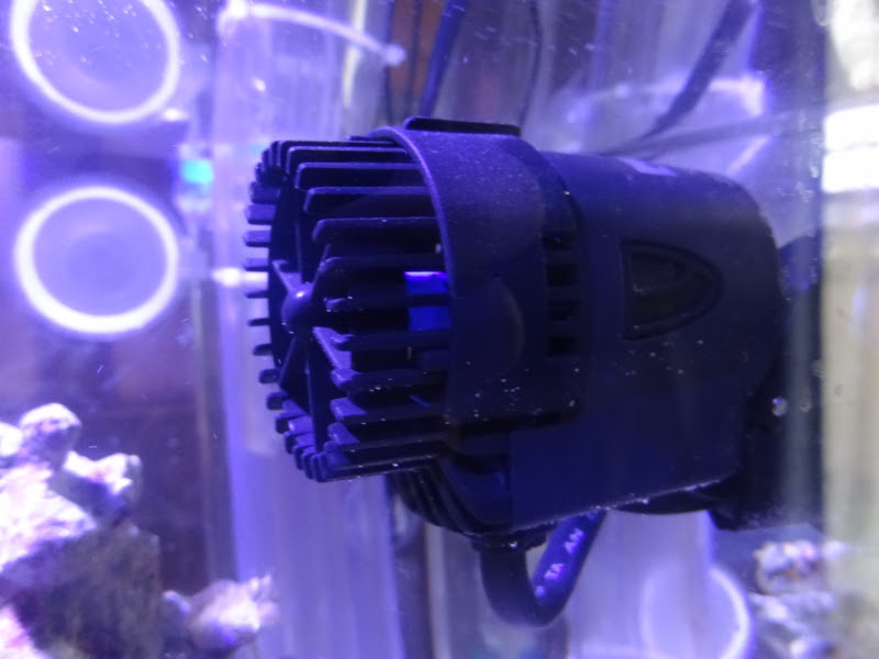 水流ポンプ買ったよ どこかの高校生の海