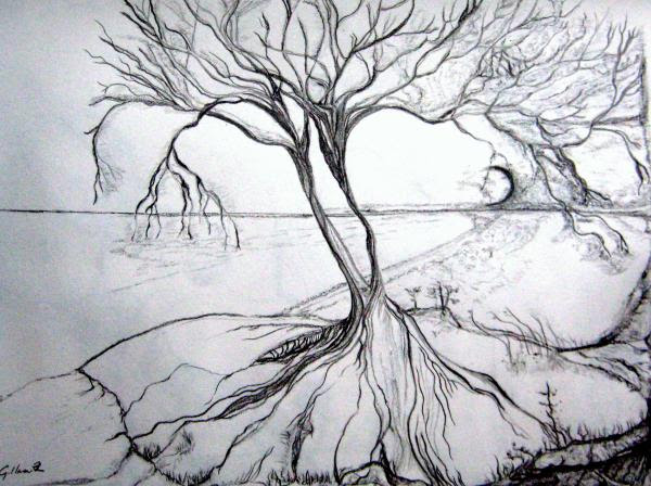 Drawing Scenery