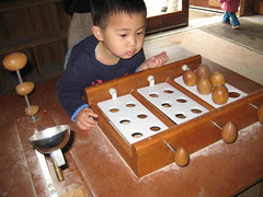 Sorting my eggs