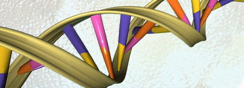 95 % des variations génétiques<br/>de l'homme identifiées<br/>