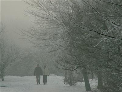 beautiful snow scenes