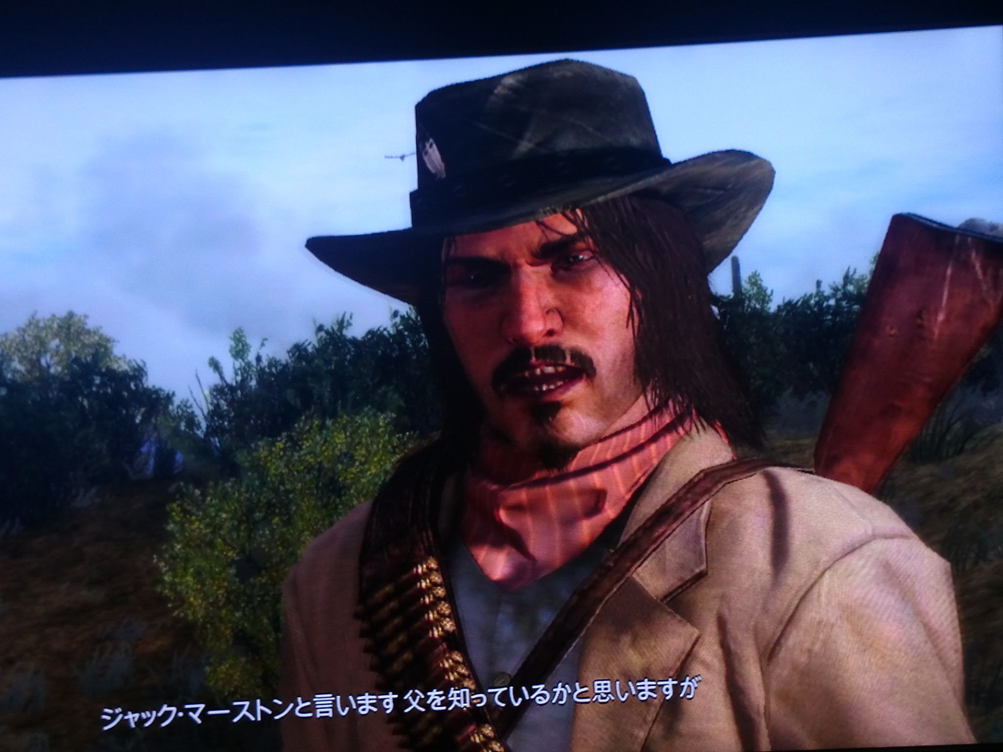 レッドデッドリデンプション ゆる い日記