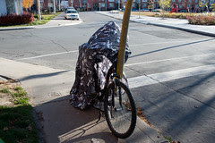 Urban Camoflauge