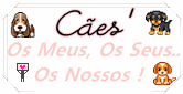 Cães' Os Meus, Os Seus.. Os Nossos!