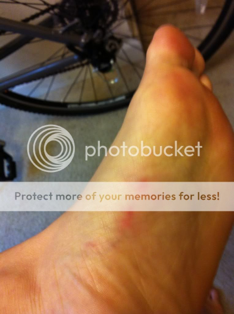 Uploaded from the Photobucket iPhone App