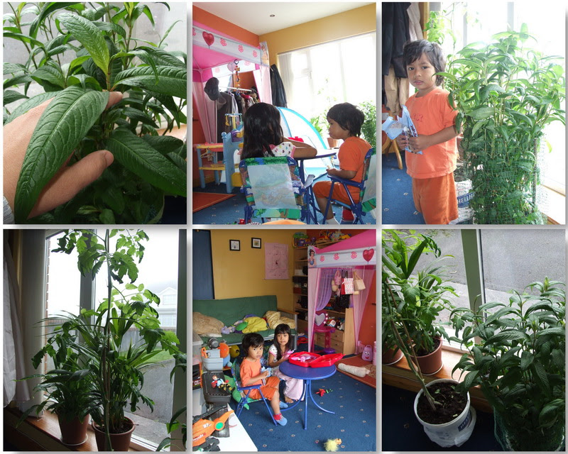 playroom