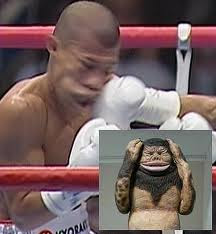 キノコ イン ワンダーランド 変な画像7