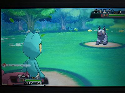 色キモリ Or 色ポケめも