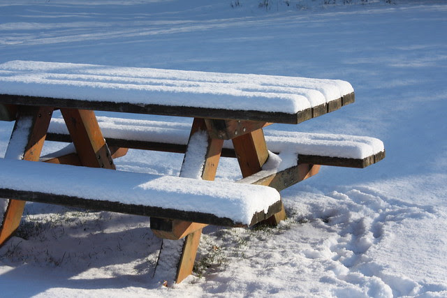 Stubenrocker haben Ausgang