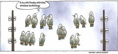 Humor