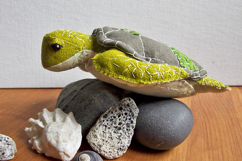 green sea turtle