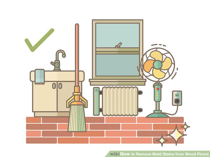 Remove Mold Stains from Wood Floors Step 15.jpg