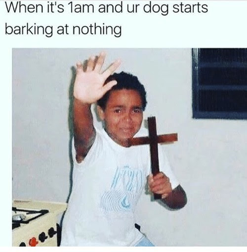 When Your Dog Barks At Nothing Meme By Sparkythejolteon Memedroid
