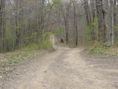 DSC00297