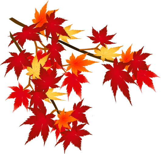11月の暮らし 歳時記 日本の行事 暦
