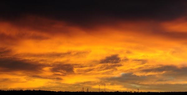 warm orange