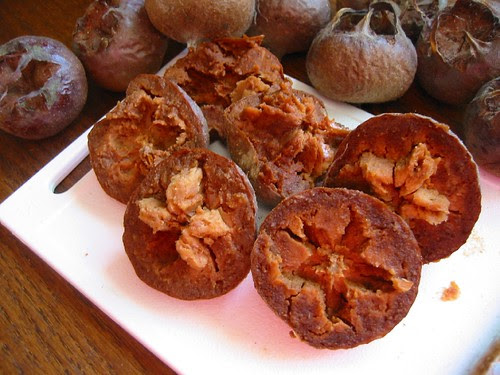 bletted medlars
