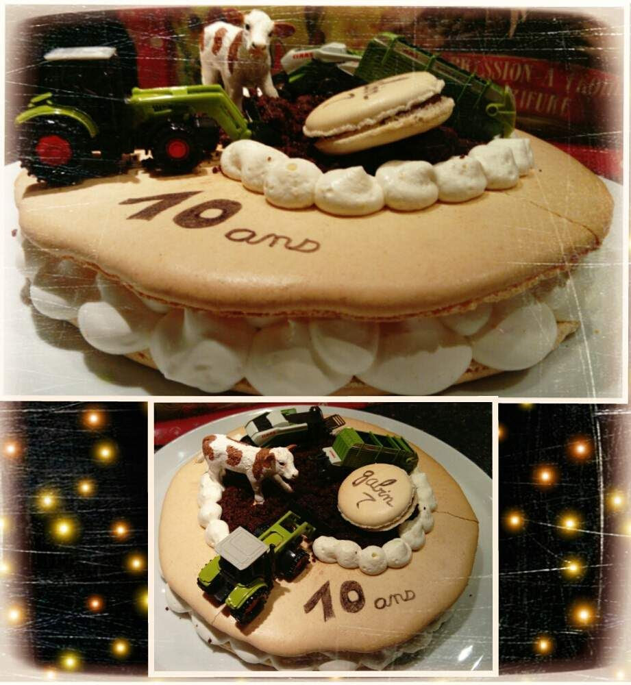 Macaron Aux Fruits Theme Sur La Ferme L Atelier De Nanou