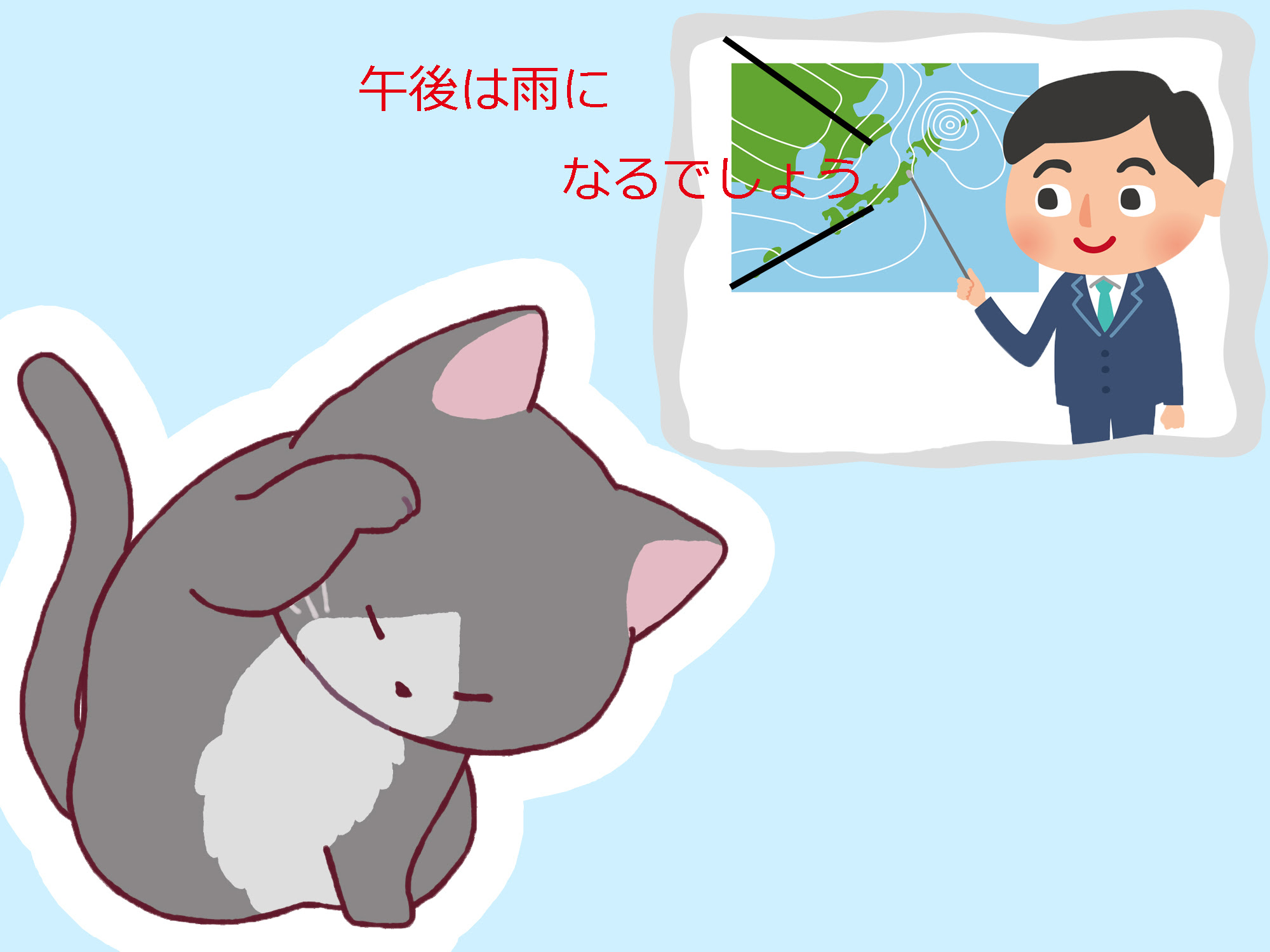 猫が顔を洗うと雨が降る 梅雨の湿気と猫の行動 猫の総合情報サイト ペットスマイルニュースforネコちゃん
