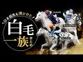 競馬 かっこいい画像 195683-競馬 かっこいい画像