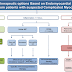 Myocarditis Treatment / Myocarditis - causes, symptoms and treatment | Health Care ... : Management, and therapy of myocarditis: