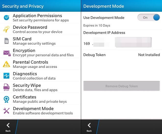 BlackBerry 10 Dev Mode