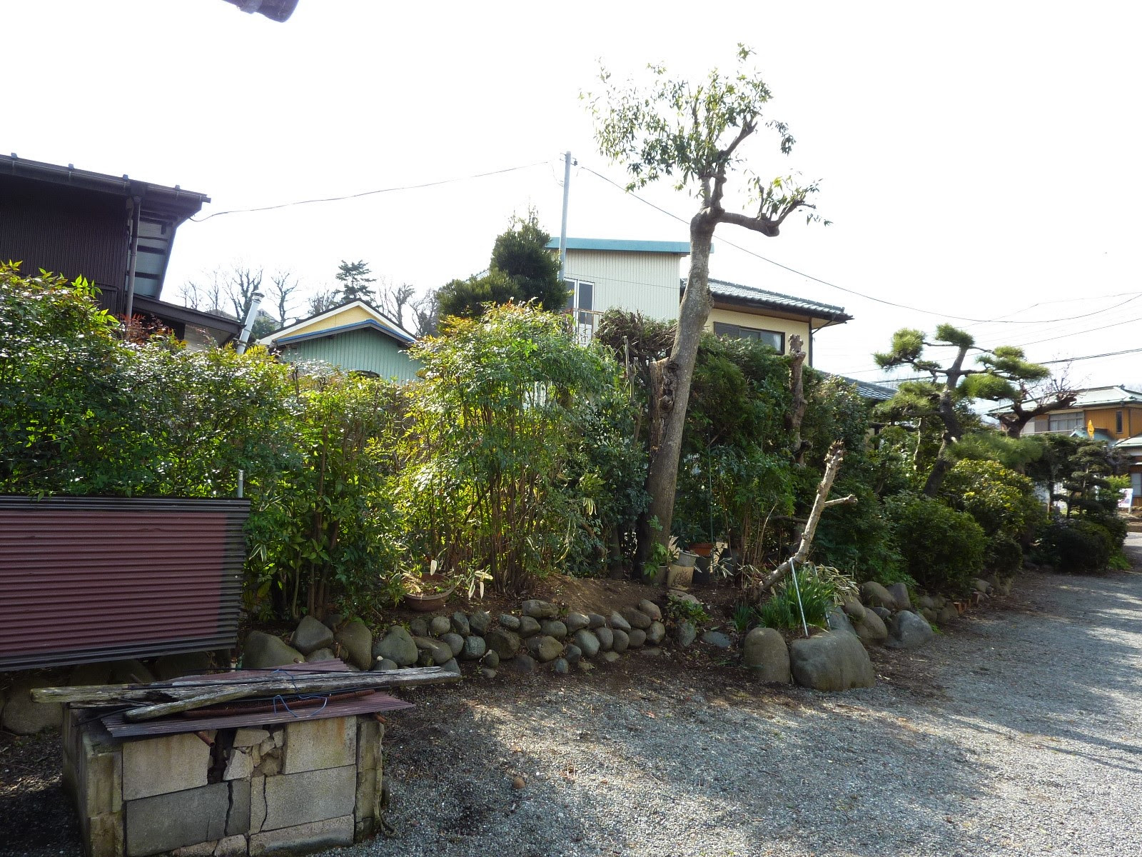 施工事例 庭周りの片付け 植木 垣根の剪定 神奈川県相模原市 上溝の不用品回収 遺品整理 アシストワン