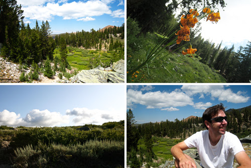 august07to1009_2