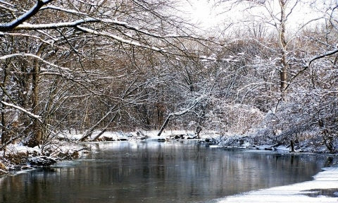 Winter River and Tree Photo Ice and Snow Fine Art Photography - ShawnElizaCreations