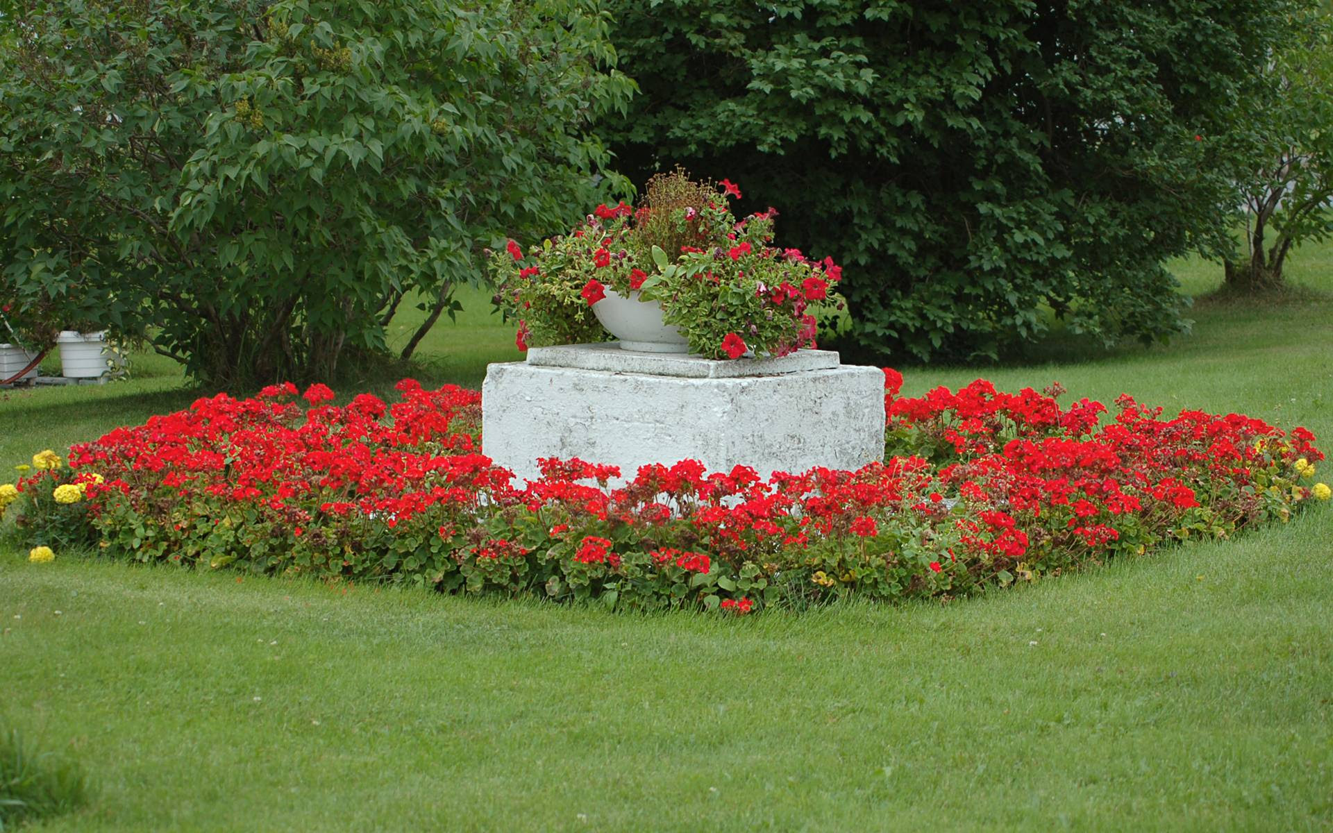 Flower Garden Backgrounds  Wallpaper Cave