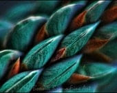 Nature Photograph Teal Lupine Macro Print digitally painted - bbrunophotography