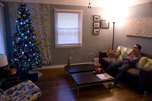 Christmas decorations are up!