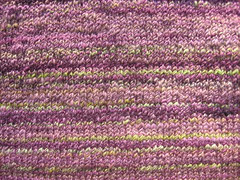 Vast Taos vest