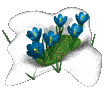 blume-0488.gif von 123gif.de