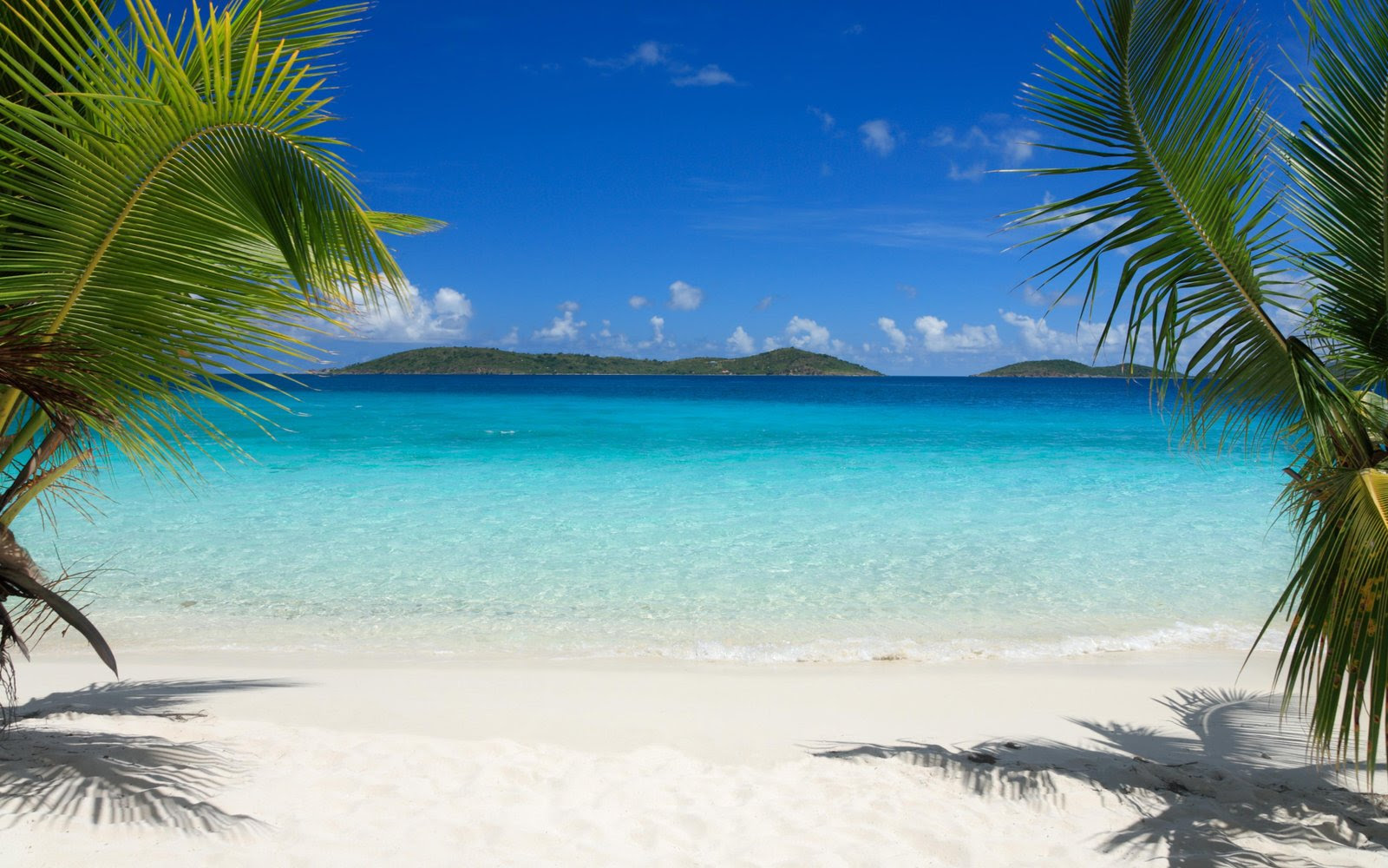 Tropics Beach Palm Trees Sand Hd Wallpaper 90864 : Wallpapers13.com