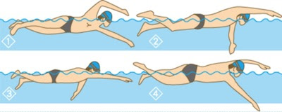 水泳って奥が深い ズオ ブログ
