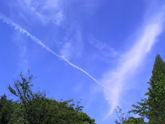 最新青空 飛行機 フリー 素材 無料イラスト集