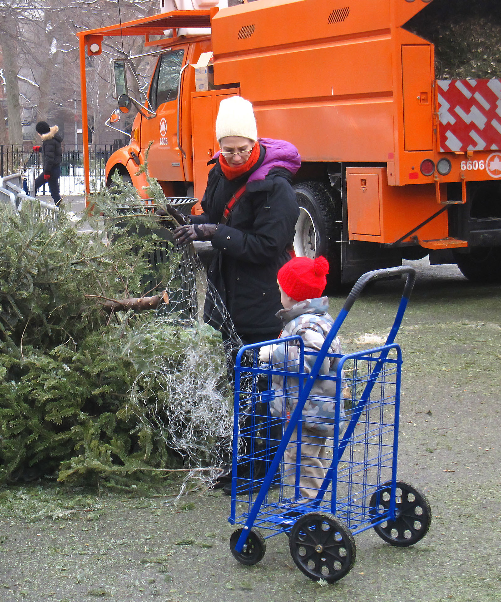Mulchfest 2010
