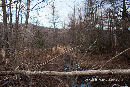 The Remains of the Dam (4 of 6).jpg