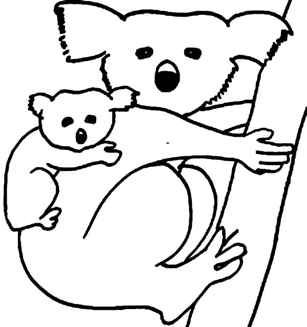 Download Free Koala Outline Cliparts, Download Free Clip Art, Free ...
