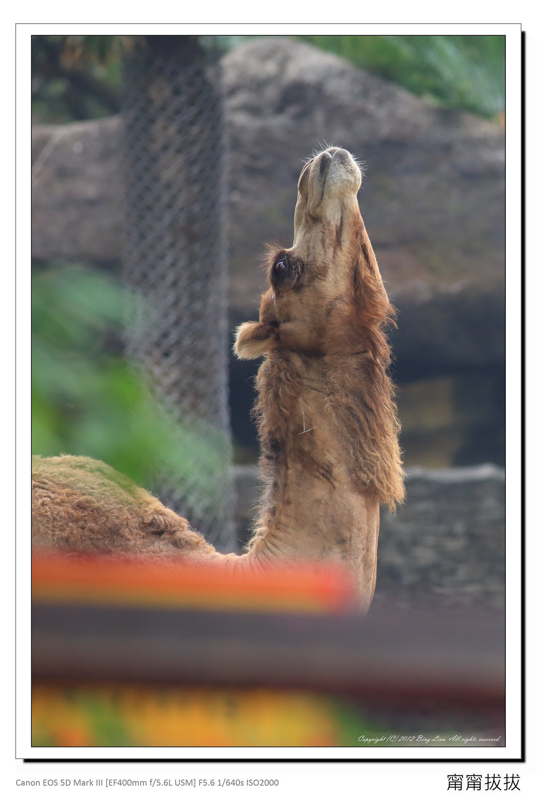 frame_BING9068
