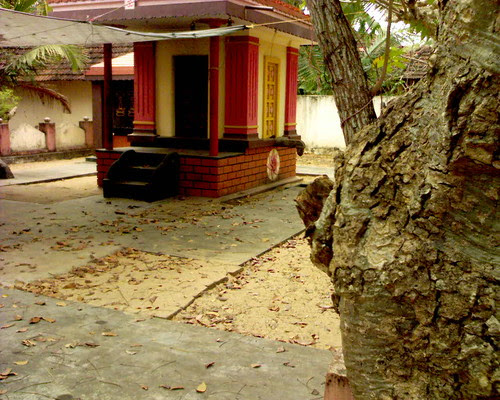 DSC00293
