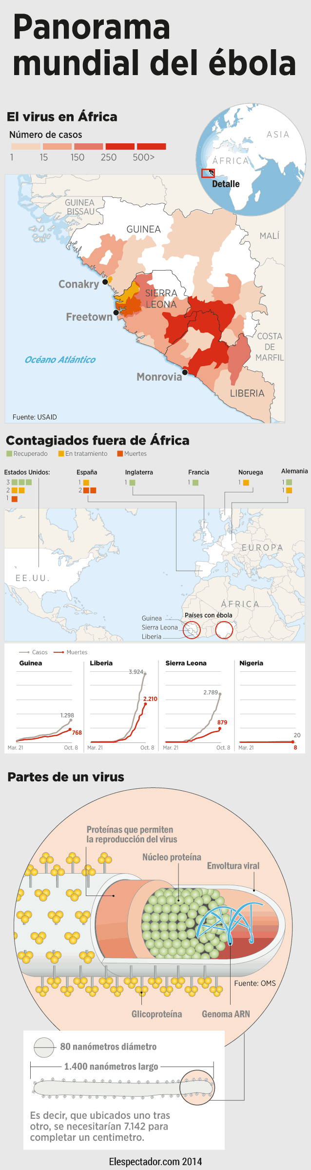 Panorama actual del ébola