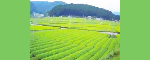 ドンパン節 の楽譜や歌詞とmidiや歌声入りmp3の無料ダウンロード