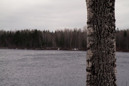 William Gull : Photo hike