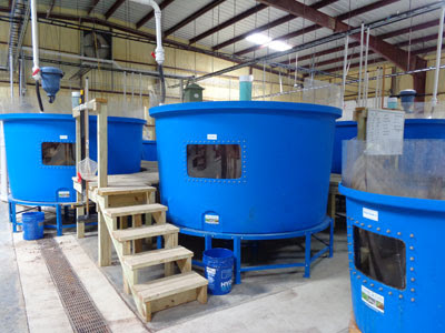 Commercial Systems Nelson &amp; Pade, Inc.