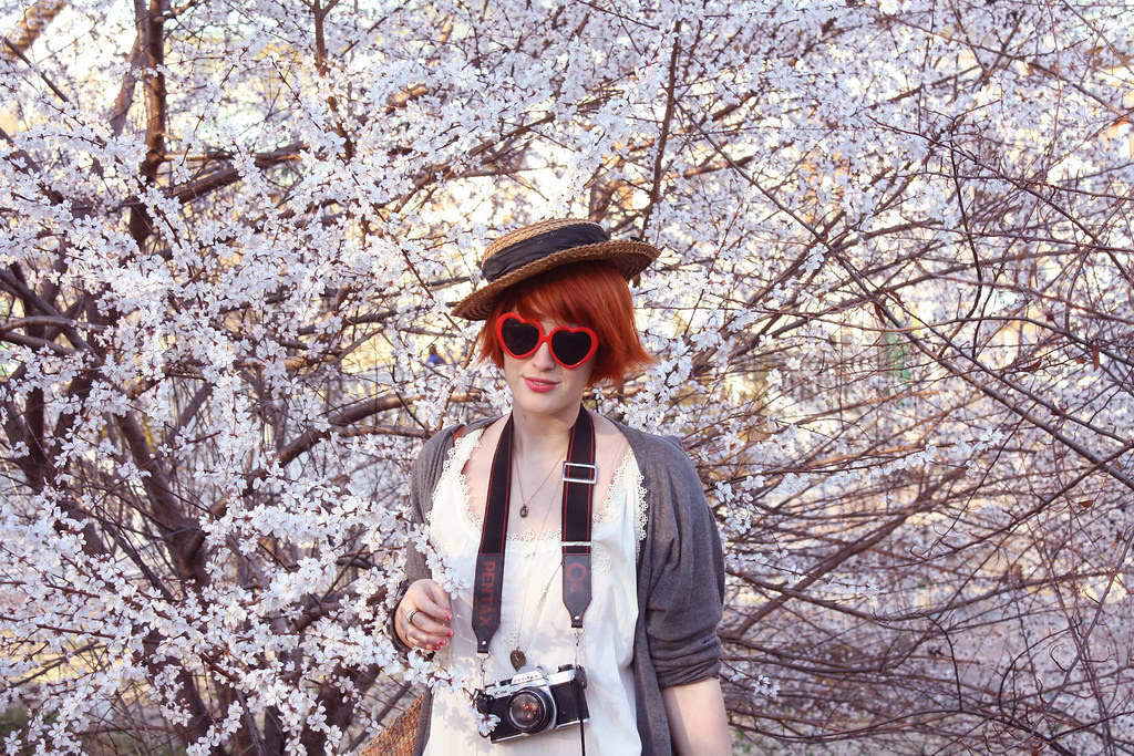cherry blossoms and me