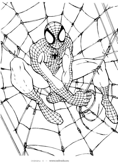 Weboct 15, 2023 · on this page, you will find 30 all new spiderman coloring pages that are completely free to print and download. spiderman symbol coloring pages thekindproject afvere