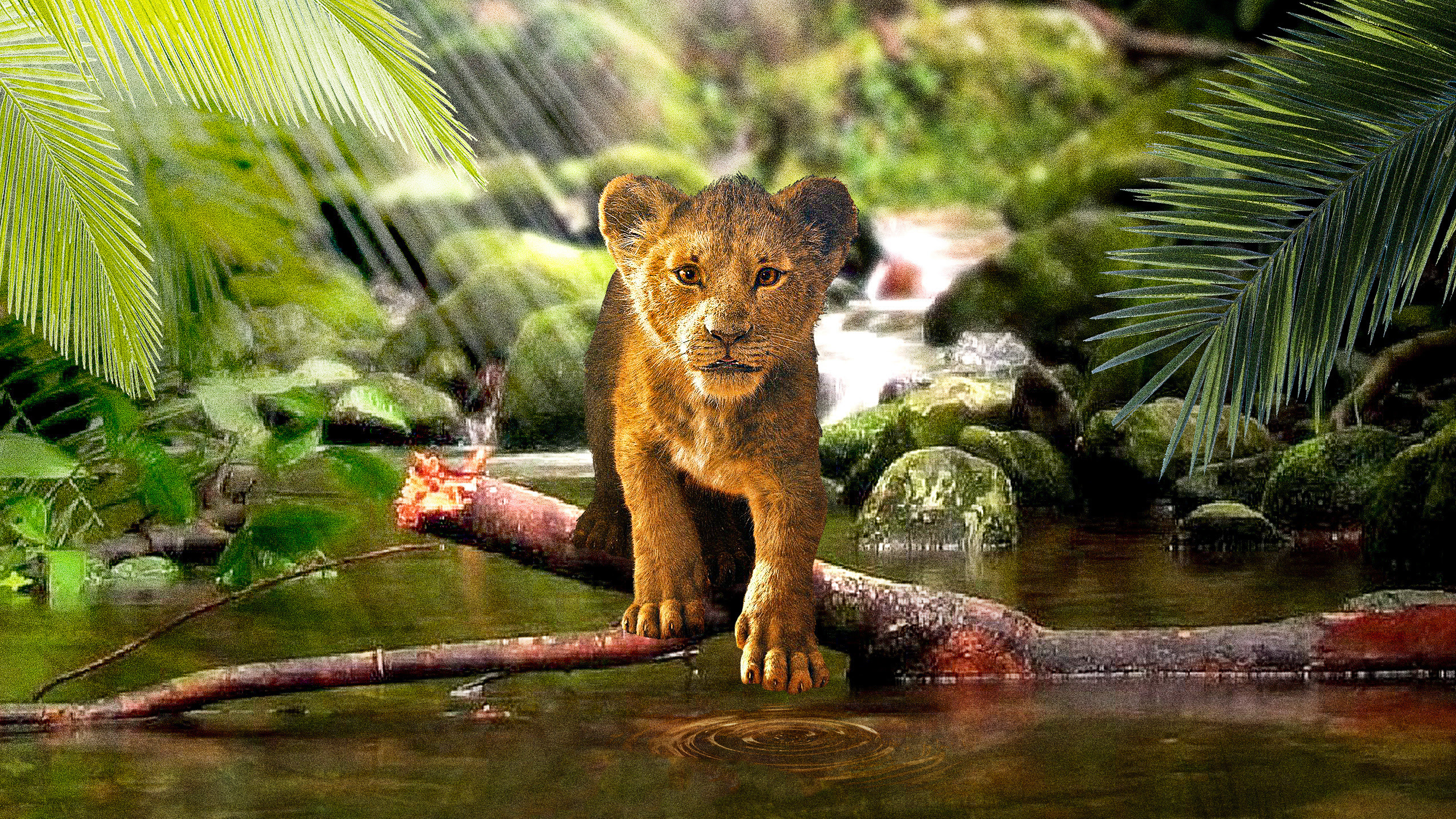 The Lion King Simba 2019, HD Movies, 4k Wallpapers, Images ...