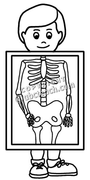 ray cartoon clipart clipart suggest